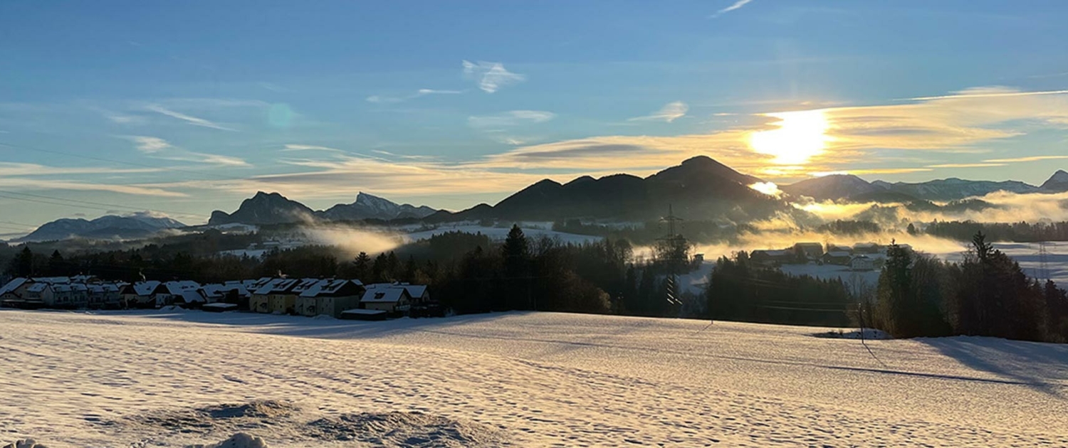 Immobilien Hausverwaltung Kaserer